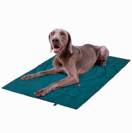 Dog Mat