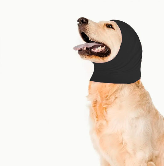 Oto protector para perro